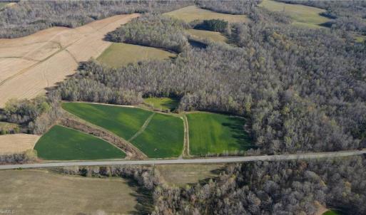 Photo #7 of 1337 Candy Creek, Reidsville, NC 23.4 acres