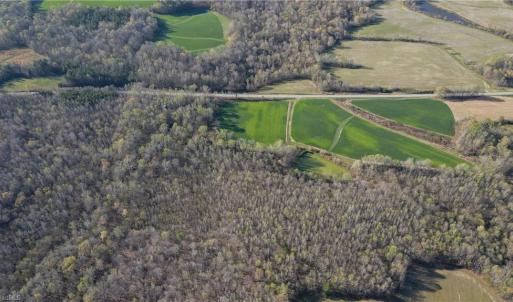 Photo #3 of 1337 Candy Creek, Reidsville, NC 23.4 acres