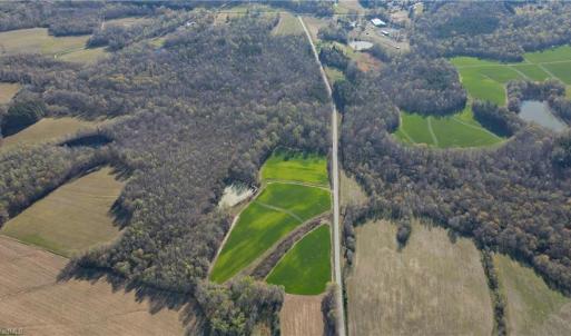 Photo #5 of 1337 Candy Creek, Reidsville, NC 23.4 acres