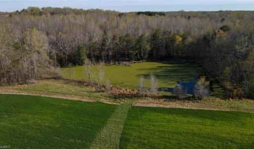 Photo #20 of 1337 Candy Creek, Reidsville, NC 23.4 acres