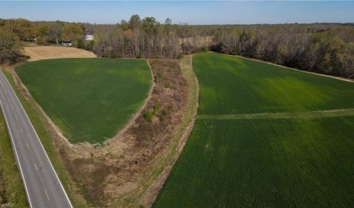 Photo #10 of 1337 Candy Creek, Reidsville, NC 23.4 acres