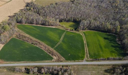 Photo #18 of 1337 Candy Creek, Reidsville, NC 23.4 acres