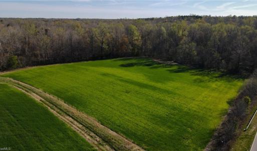 Photo #11 of 1337 Candy Creek, Reidsville, NC 23.4 acres