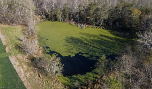 Photo #19 of 1337 Candy Creek, Reidsville, NC 23.4 acres