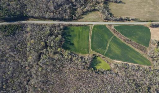 Photo #4 of 1337 Candy Creek, Reidsville, NC 23.4 acres