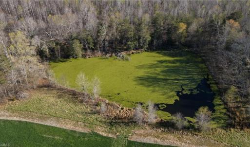 Photo #21 of 1337 Candy Creek, Reidsville, NC 23.4 acres