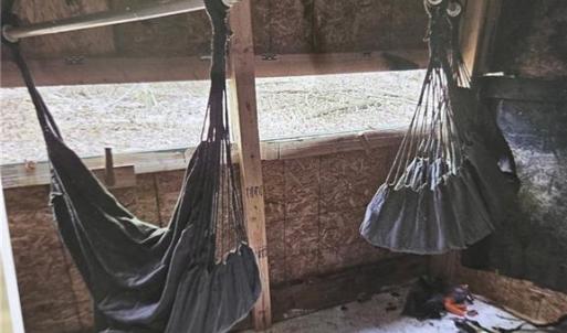 Photo #34 of 1163 Mills, Mount Airy, NC 10.6 acres