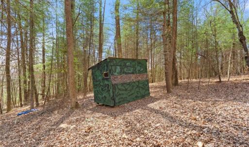 Photo #33 of 1163 Mills, Mount Airy, NC 10.6 acres