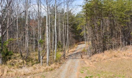 Photo #14 of 1163 Mills, Mount Airy, NC 10.6 acres