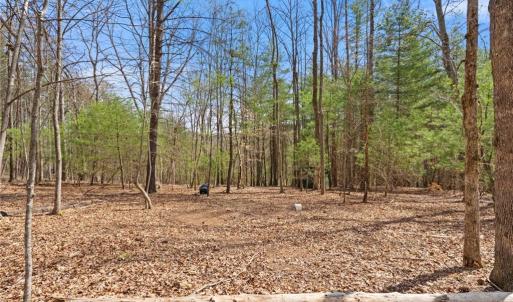 Photo #29 of 1163 Mills, Mount Airy, NC 10.6 acres