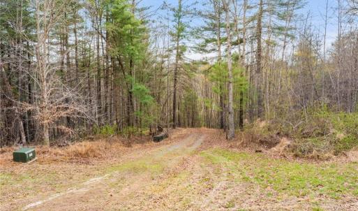 Photo #1 of 1163 Mills, Mount Airy, NC 10.6 acres