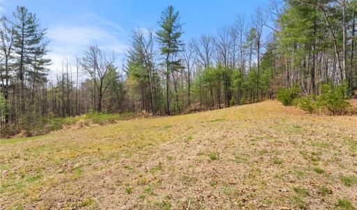 Photo #31 of 1163 Mills, Mount Airy, NC 10.6 acres
