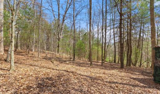 Photo #28 of 1163 Mills, Mount Airy, NC 10.6 acres