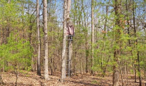 Photo #24 of 1163 Mills, Mount Airy, NC 10.6 acres