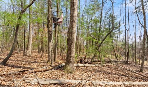 Photo #25 of 1163 Mills, Mount Airy, NC 10.6 acres