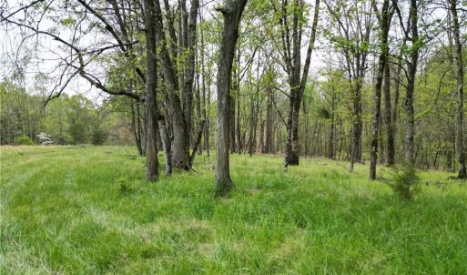 Photo #27 of NC Highway 49, Denton, NC 60.0 acres