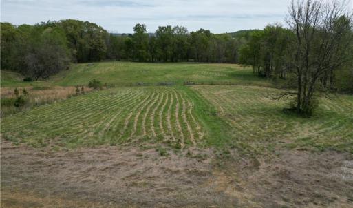 Photo #2 of NC Highway 49, Denton, NC 60.0 acres