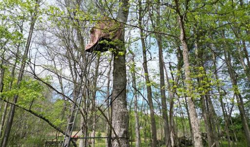 Photo #13 of NC Highway 49, Denton, NC 60.0 acres