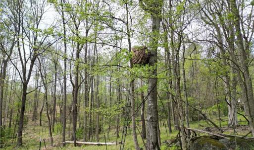 Photo #12 of NC Highway 49, Denton, NC 60.0 acres