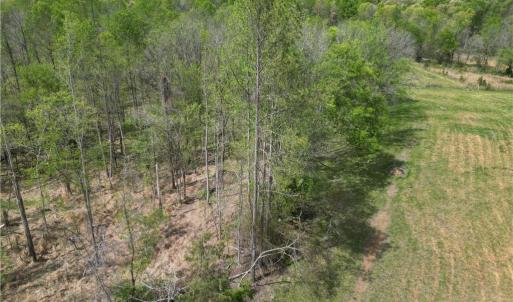 Photo #7 of NC Highway 49, Denton, NC 60.0 acres