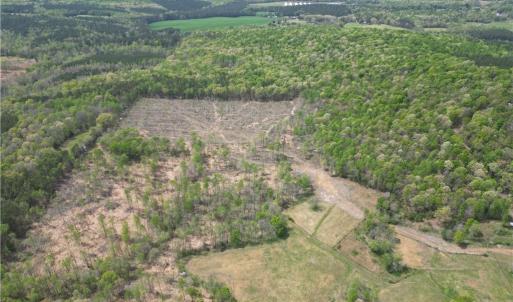 Photo #3 of NC Highway 49, Denton, NC 60.0 acres