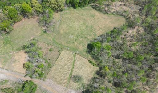 Photo #36 of NC Highway 49, Denton, NC 60.0 acres