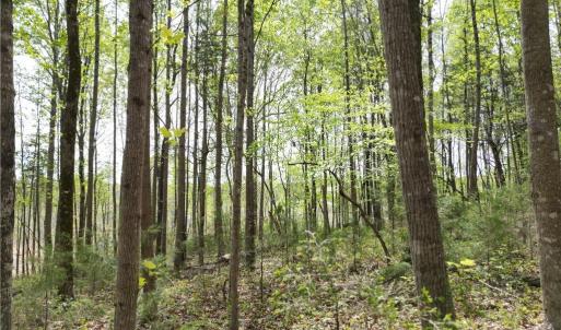 Photo #32 of NC Highway 49, Denton, NC 60.0 acres