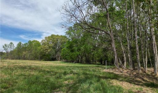 Photo #1 of NC Highway 49, Denton, NC 60.0 acres