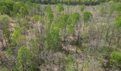 Photo #28 of NC Highway 49, Denton, NC 60.0 acres