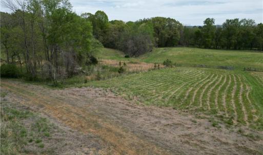 Photo #5 of NC Highway 49, Denton, NC 60.0 acres