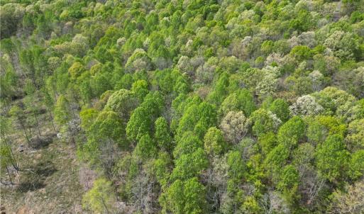 Photo #9 of NC Highway 49, Denton, NC 60.0 acres