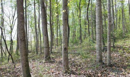 Photo #30 of NC Highway 49, Denton, NC 60.0 acres