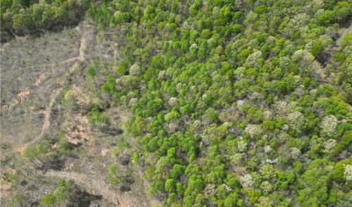 Photo #38 of NC Highway 49, Denton, NC 60.0 acres