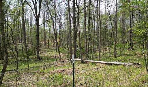 Photo #10 of NC Highway 49, Denton, NC 60.0 acres