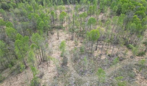 Photo #14 of NC Highway 49, Denton, NC 60.0 acres