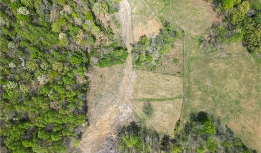 Photo #37 of NC Highway 49, Denton, NC 60.0 acres