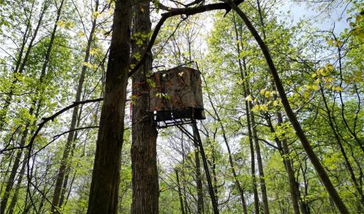 Photo #11 of NC Highway 49, Denton, NC 60.0 acres