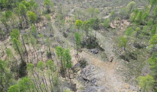 Photo #35 of NC Highway 49, Denton, NC 60.0 acres