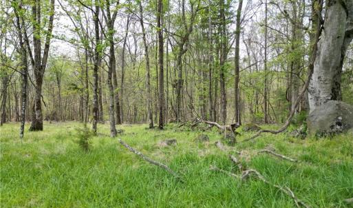 Photo #8 of NC Highway 49, Denton, NC 60.0 acres