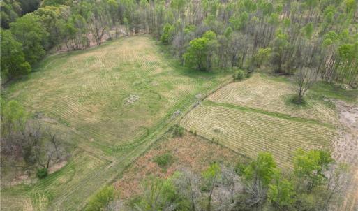 Photo #22 of NC Highway 49, Denton, NC 60.0 acres