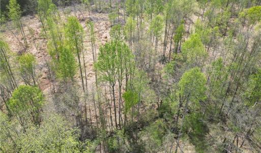Photo #28 of NC Highway 49, Denton, NC 60.0 acres