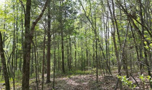 Photo #30 of NC Highway 49, Denton, NC 60.0 acres