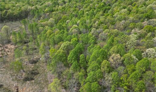 Photo #33 of NC Highway 49, Denton, NC 60.0 acres