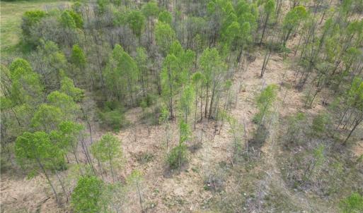 Photo #25 of NC Highway 49, Denton, NC 60.0 acres