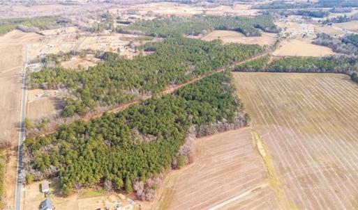 Photo #6 of Hammonds, Lumberton, NC 74.1 acres