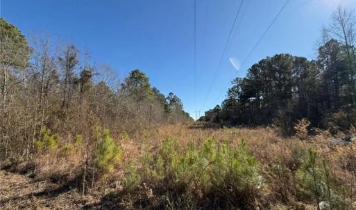 Photo #17 of Hammonds, Lumberton, NC 74.1 acres
