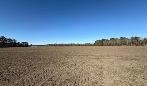 Photo #12 of Hammonds, Lumberton, NC 74.1 acres