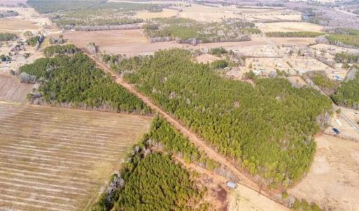 Photo #7 of Hammonds, Lumberton, NC 74.1 acres