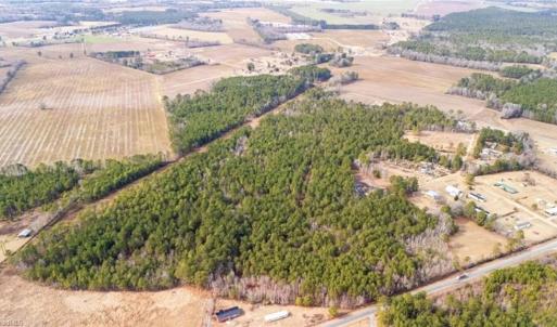 Photo #9 of Hammonds, Lumberton, NC 74.1 acres