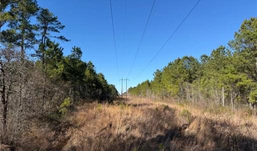 Photo #18 of Hammonds, Lumberton, NC 74.1 acres